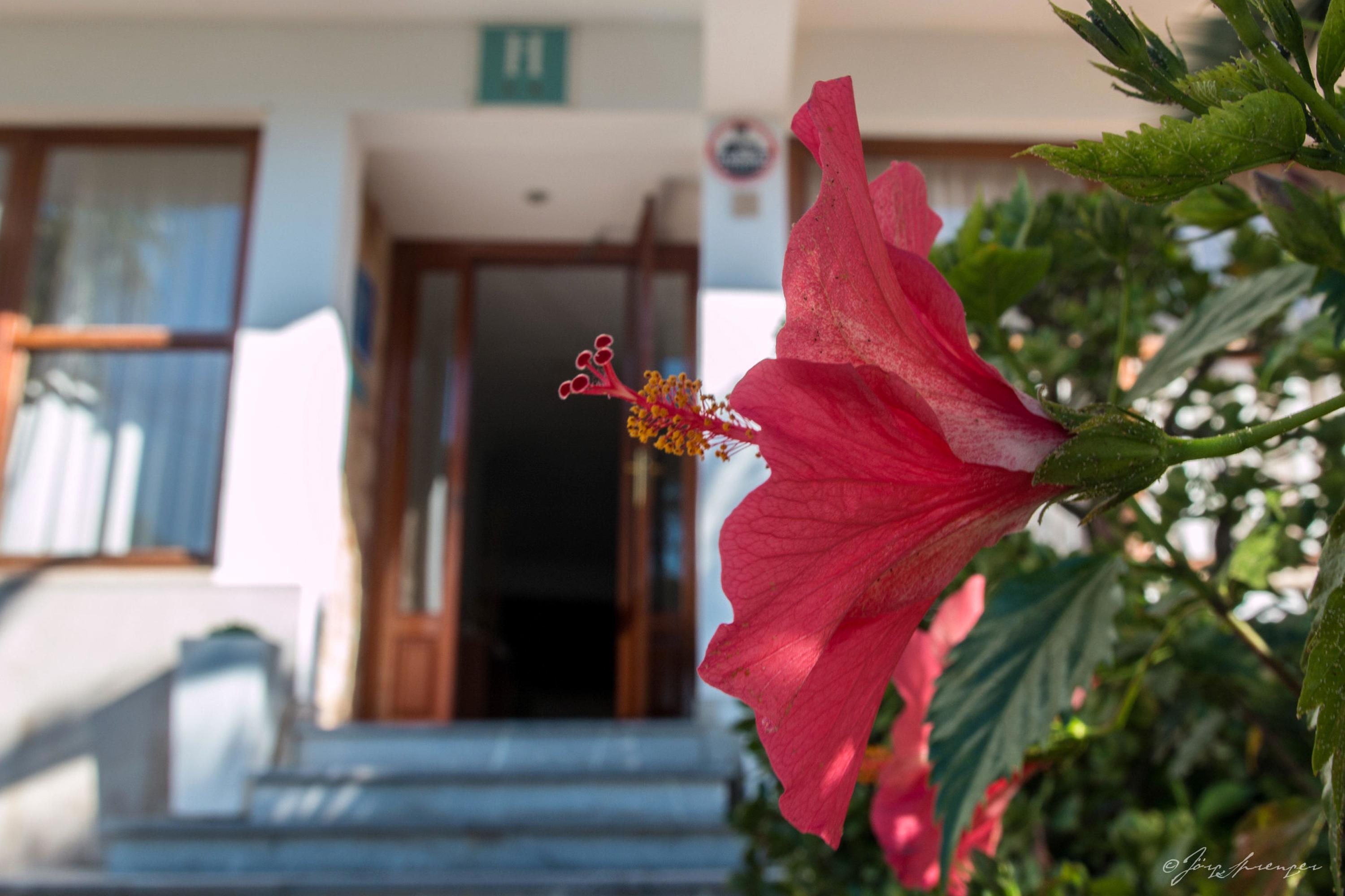 Hotel Santanyi Port カラ・フィゲラ エクステリア 写真